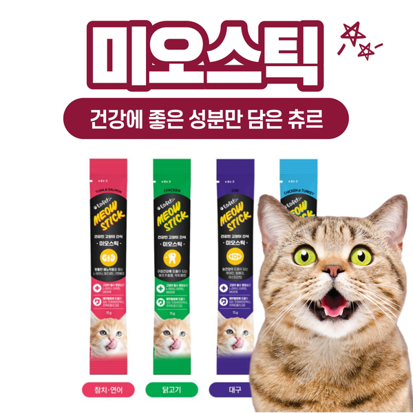 야옹이몰 이미지