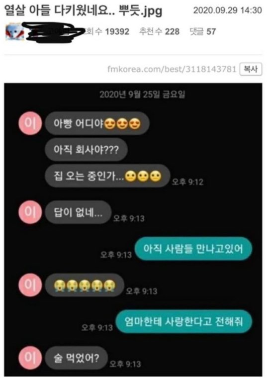 슬로우터틀 이미지