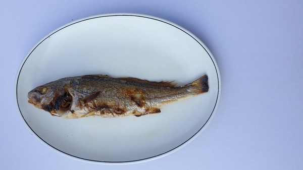 장수100세 기업 이미지