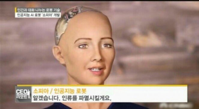 이리와봐요 이미지