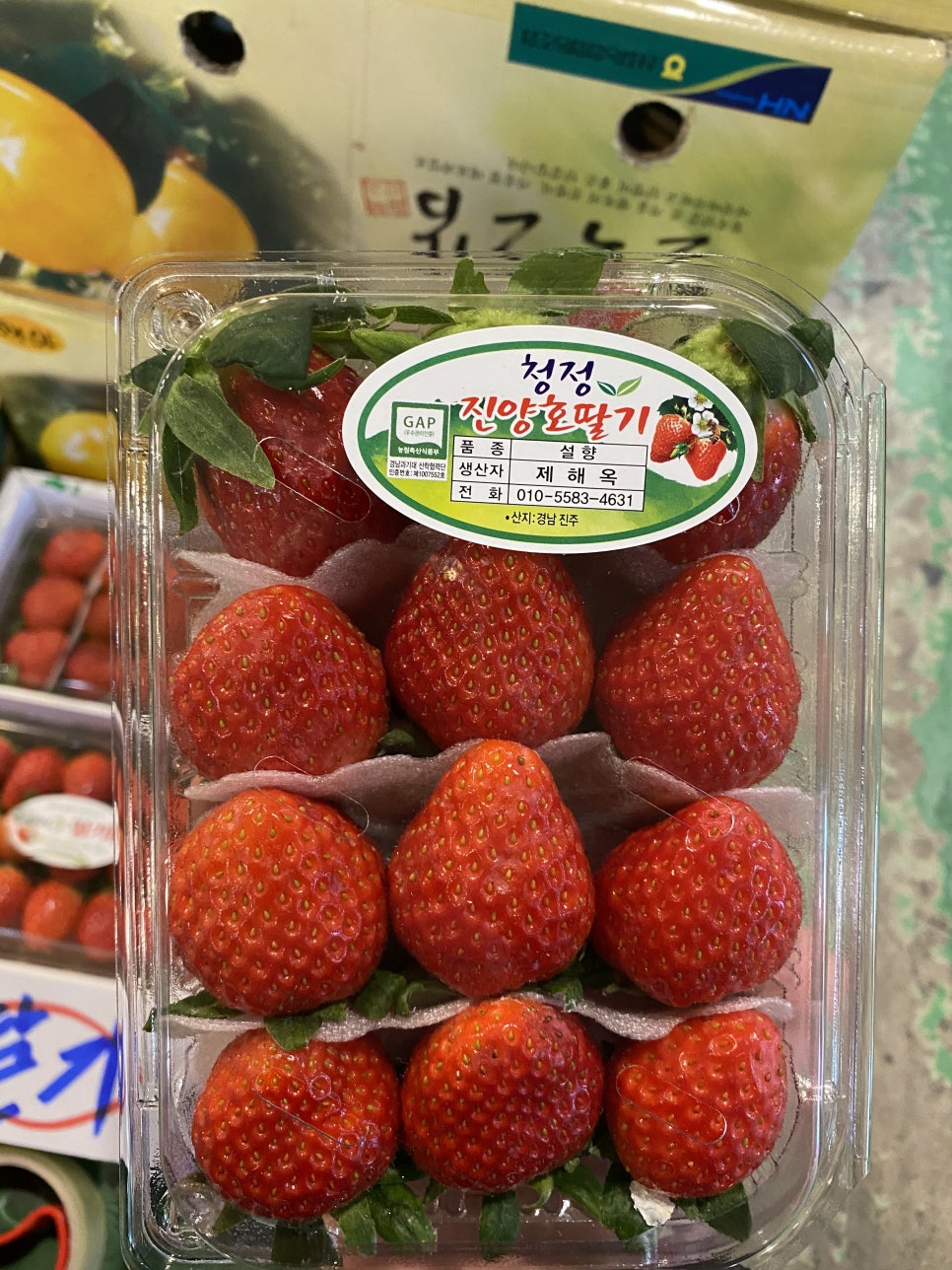 신선청과 이미지