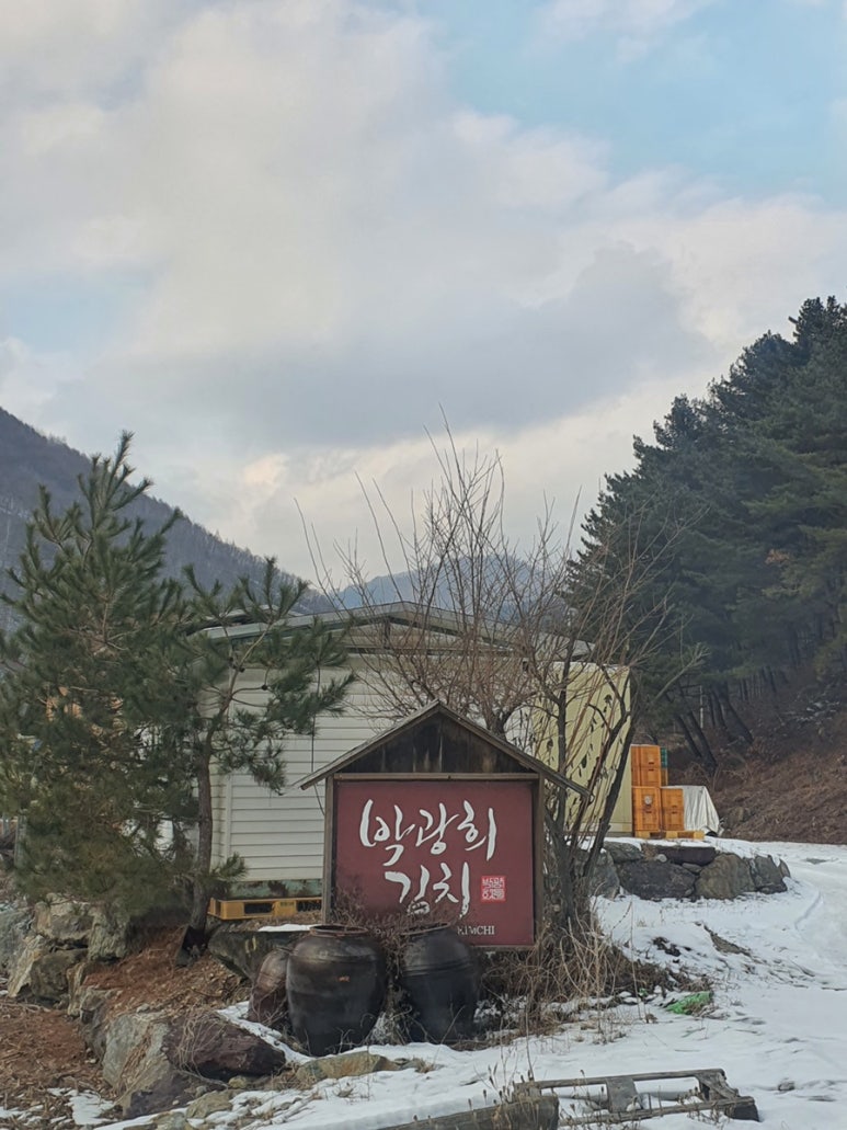박광희김치 이미지