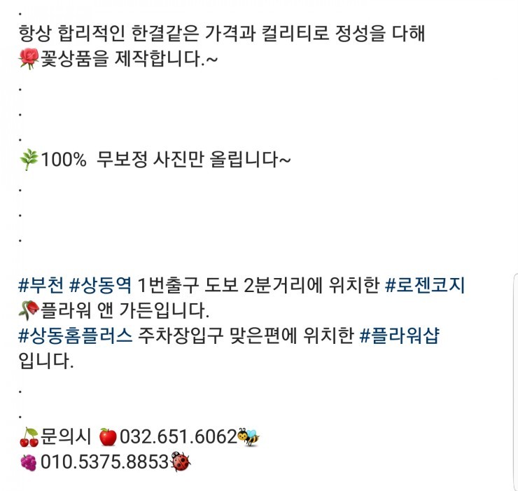 로젠코지 이미지