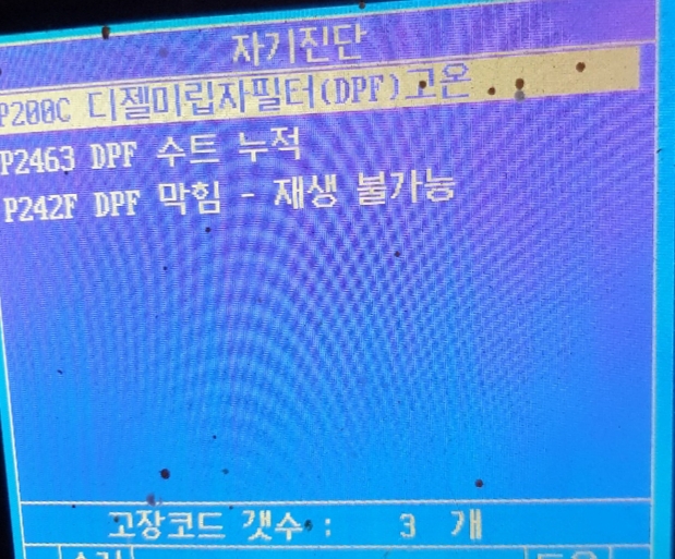 카데렐라 이미지