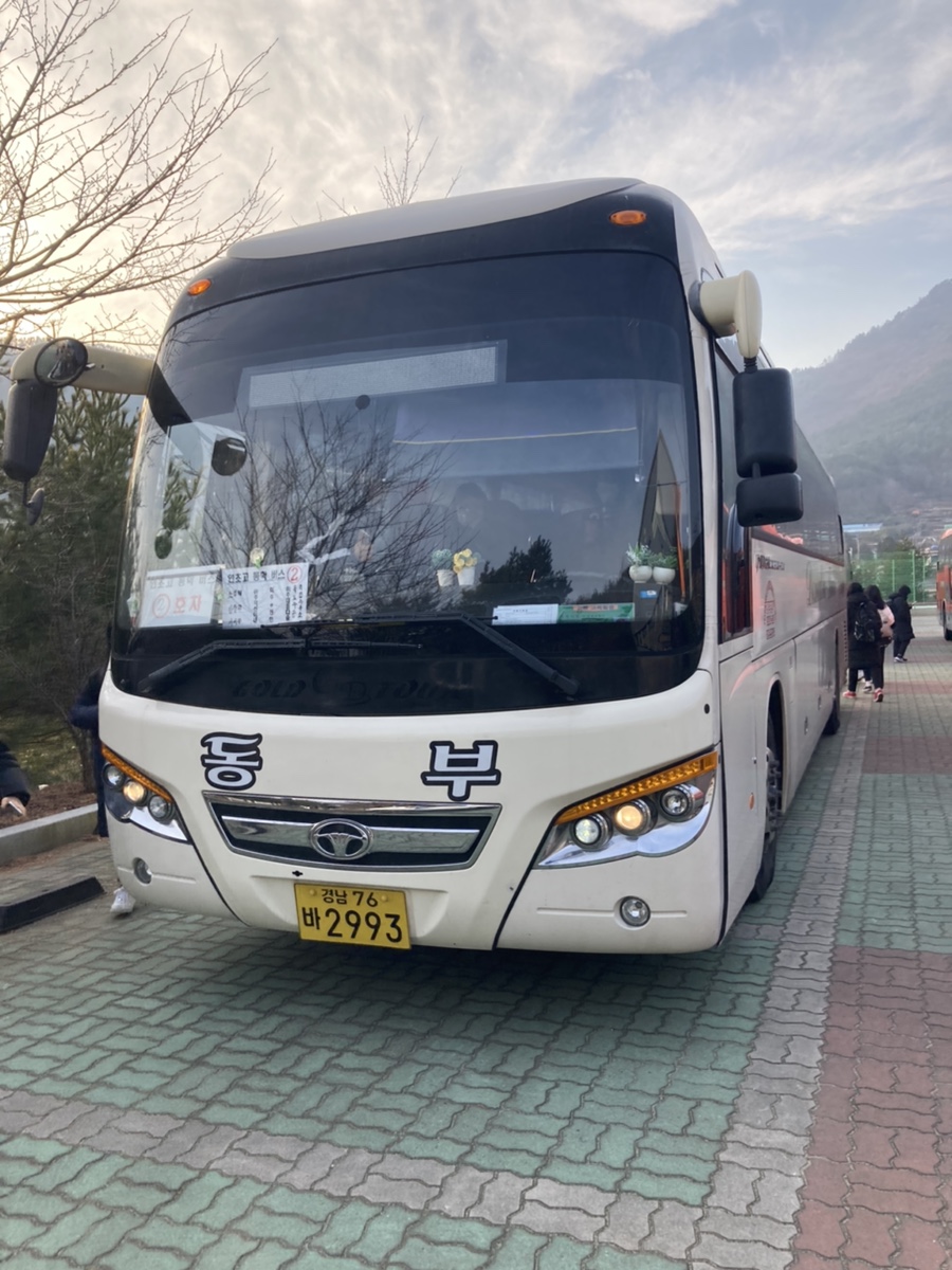 대우여행사 이미지
