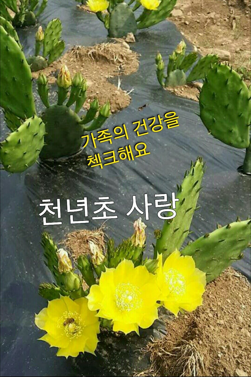 어우리 이미지