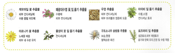 글리제미용재료 이미지