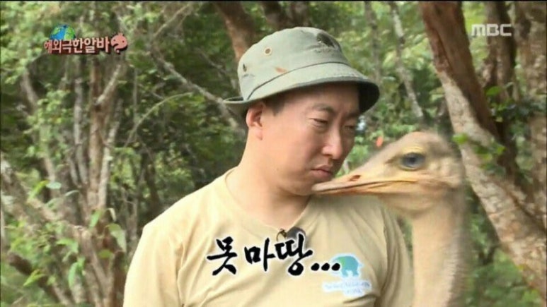 아트메이커 이미지