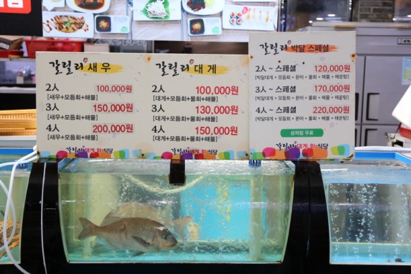 갈릴리대게회식당 이미지