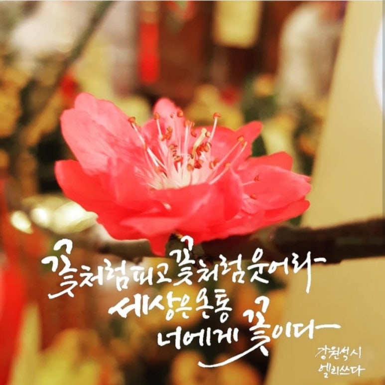너에게, 꽃이다 이미지