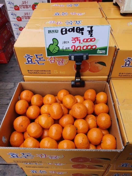 총각네수지 이미지