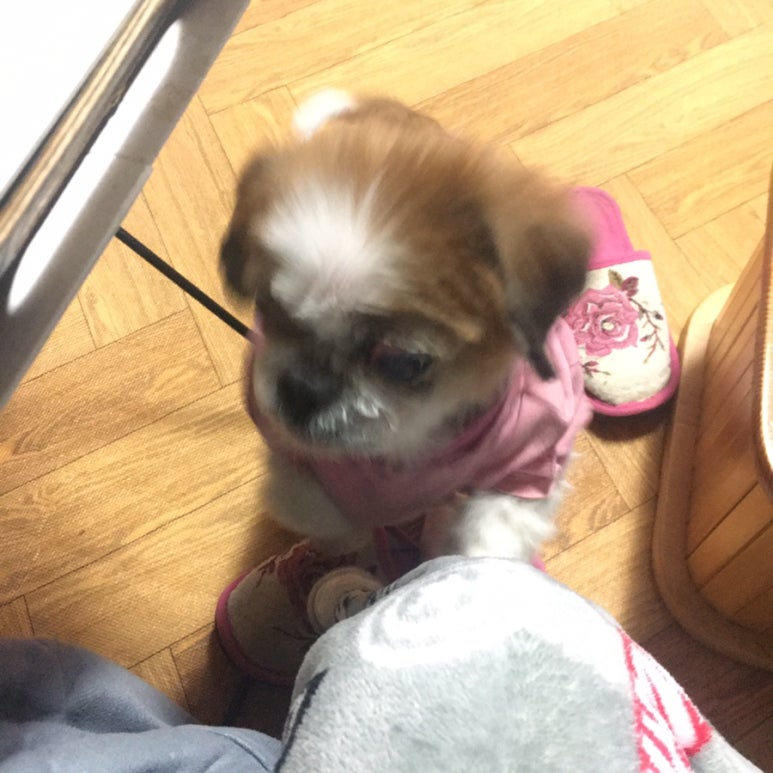 그랜드웨딩 이미지