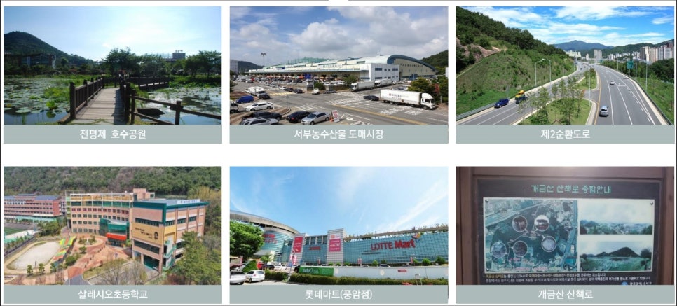 더라루체 이미지