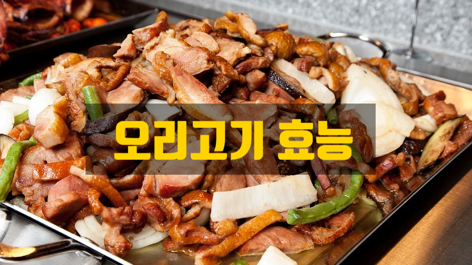 내몸에좋은오리 이미지