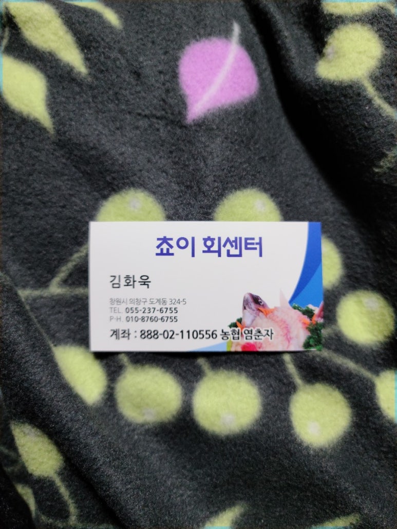 회썰어파는집 이미지