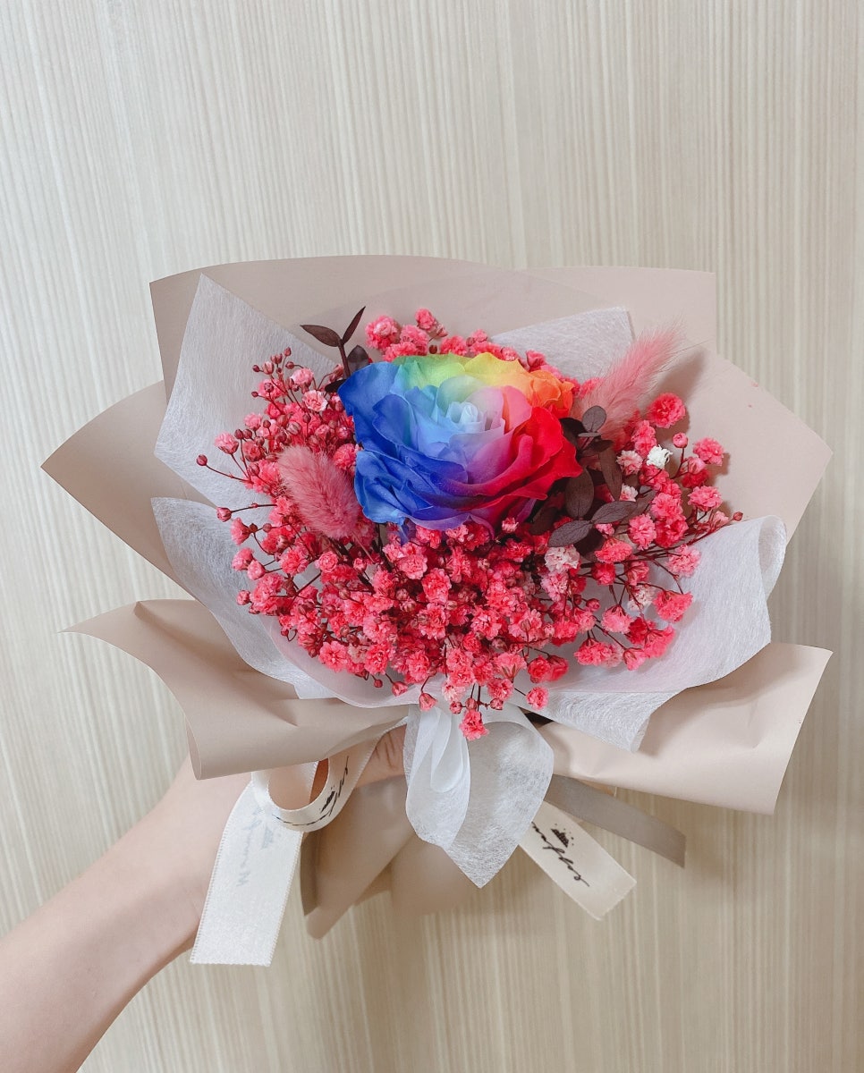 모나플로스 이미지