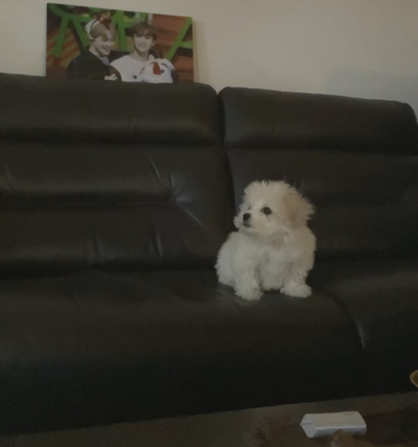 대갈집 이미지