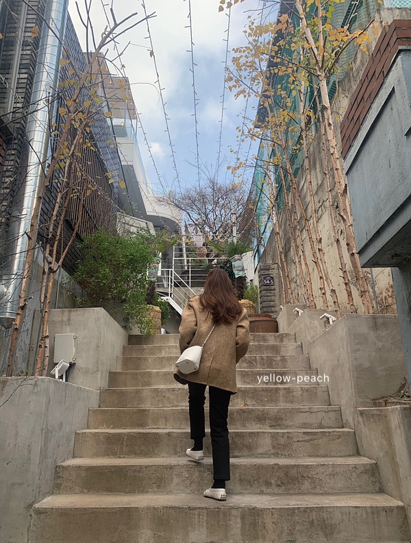 프레누 이미지