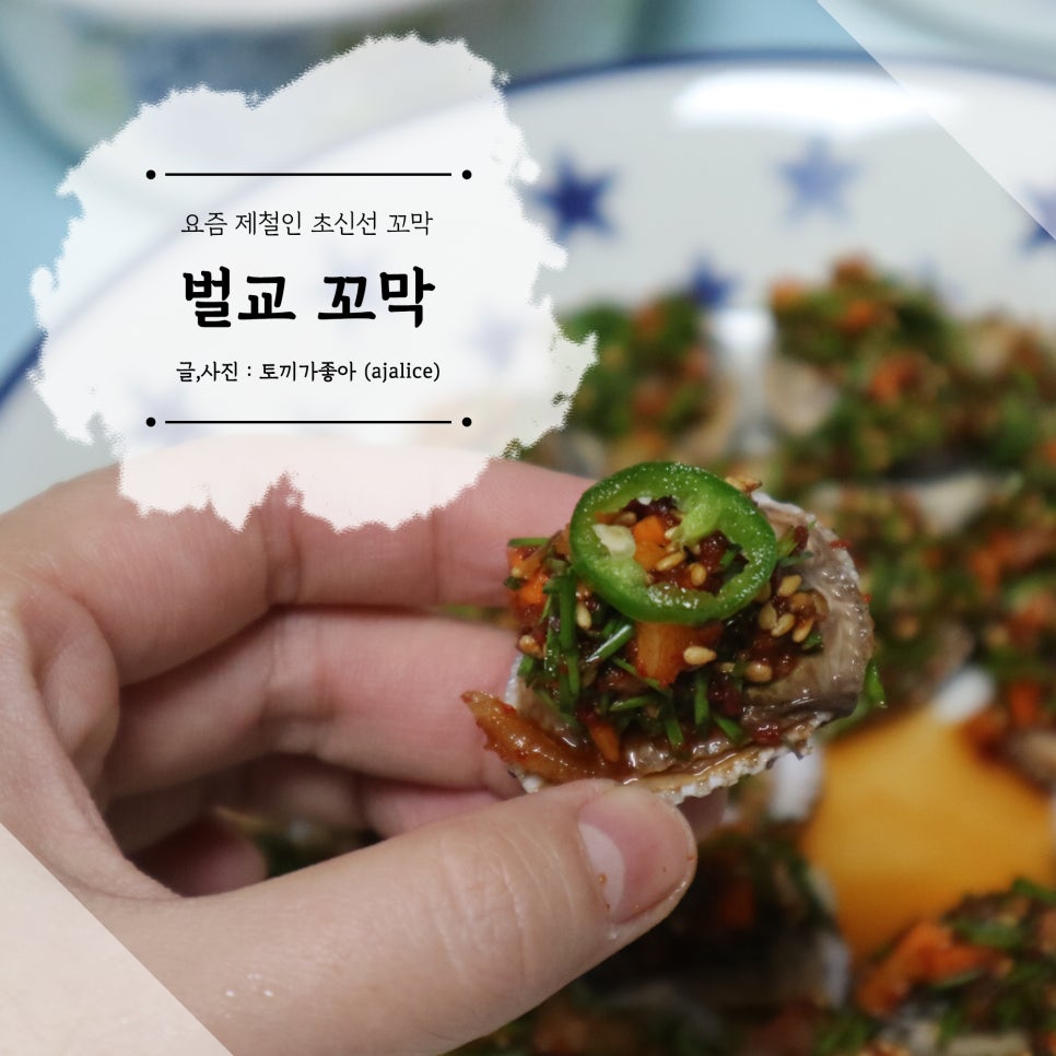 추릅추릅 이미지