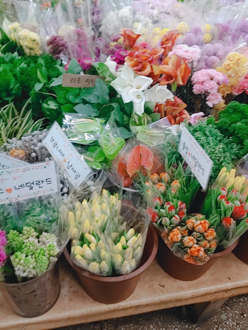 대림화원 이미지