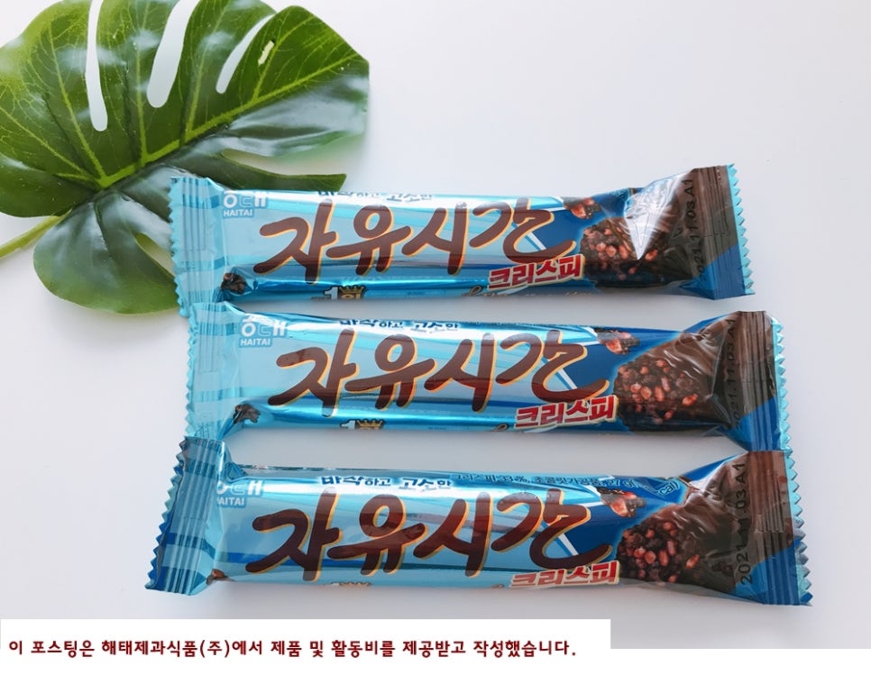 자유시간 이미지