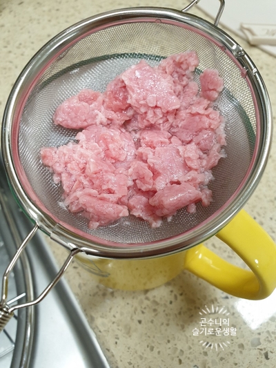 곤찌 이미지