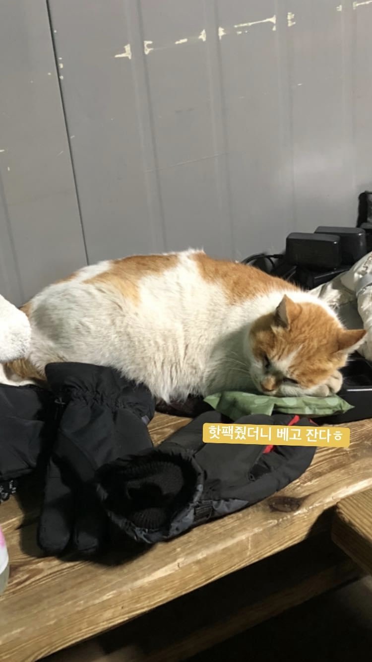 내촌불곱창 이미지