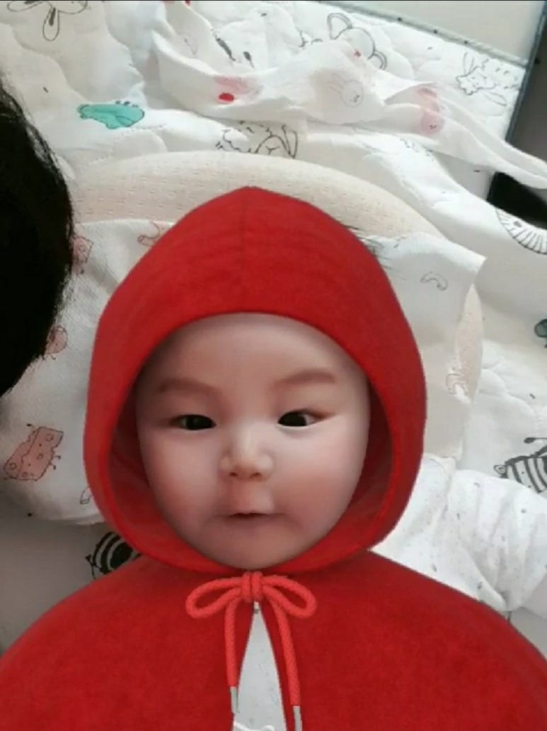 토리81 이미지