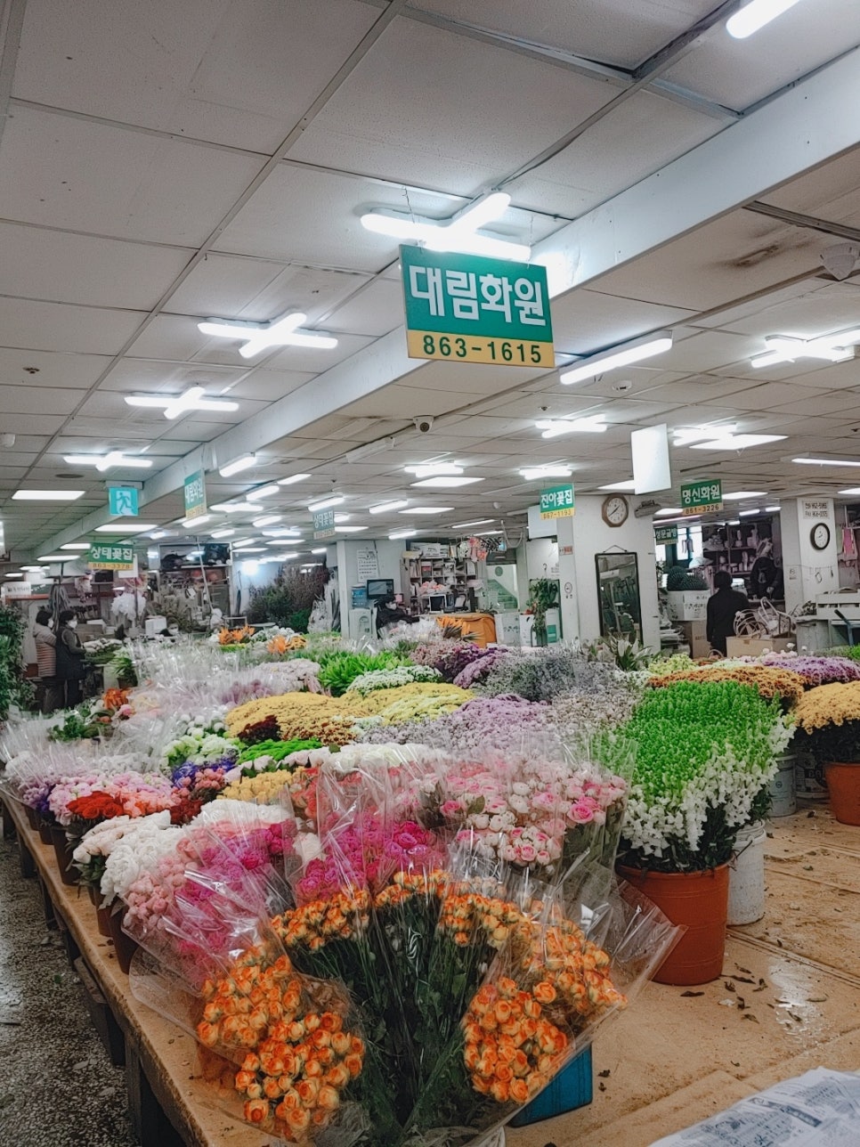 대림화원 이미지