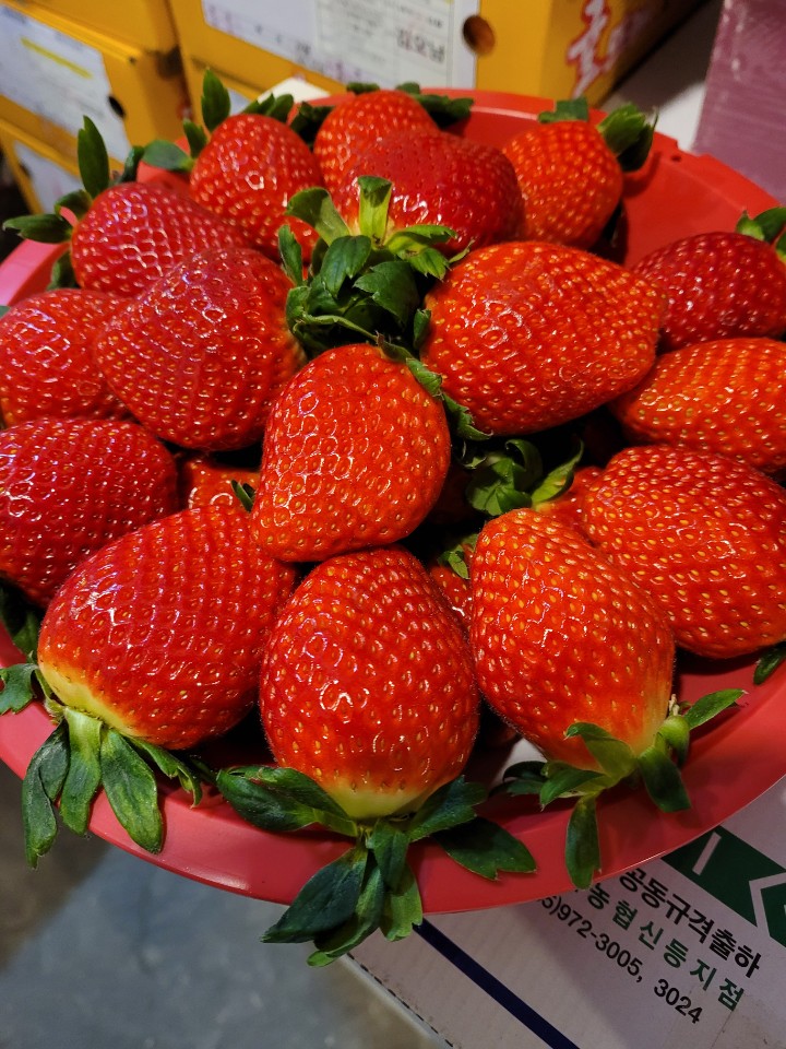 ㈜팀프레시 이미지