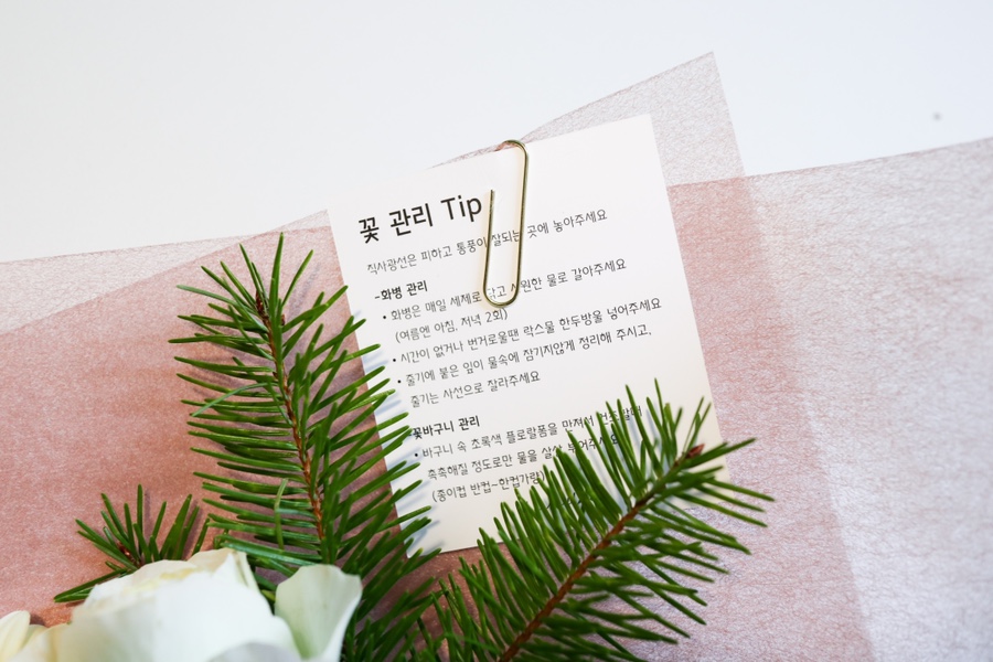 엘앤클라 이미지