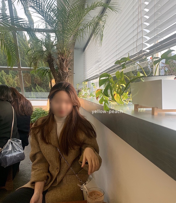프레누 이미지