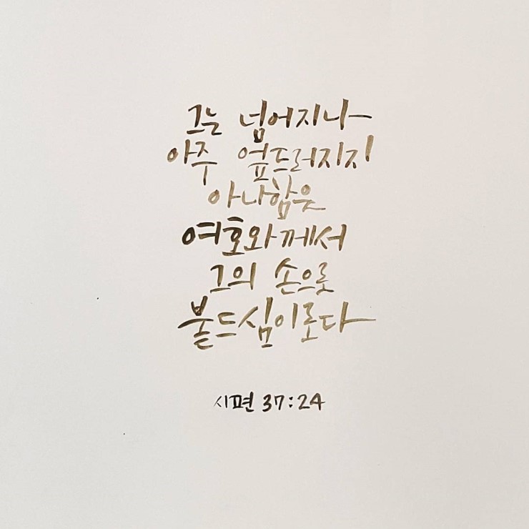 은평미뎀음악학원 이미지