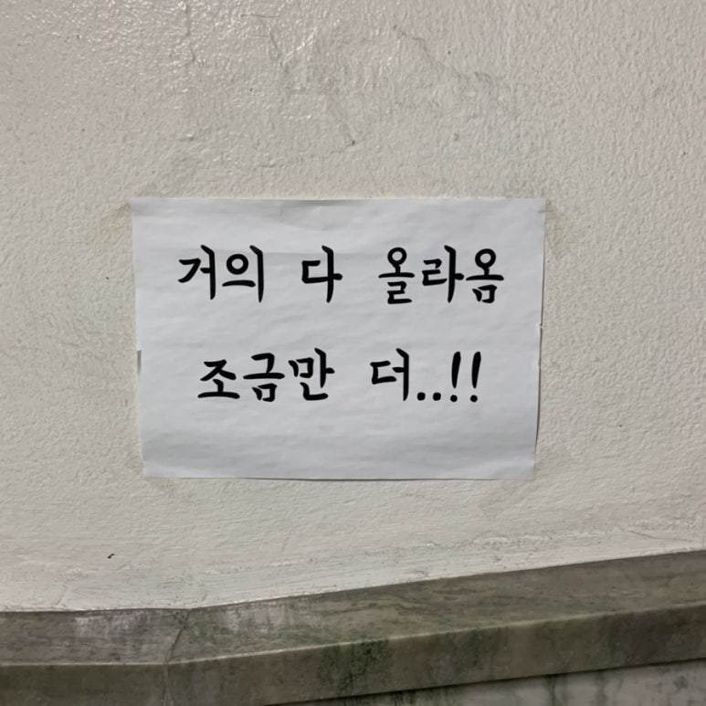 청시행 이미지