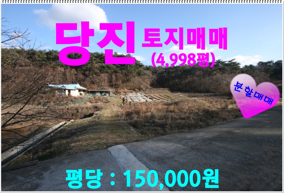정미농협주유소 이미지