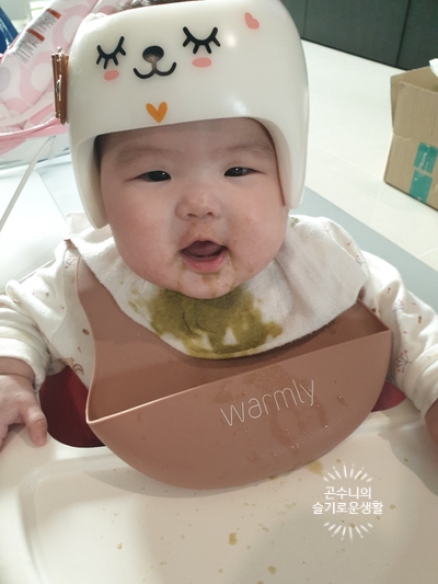 곤찌 이미지