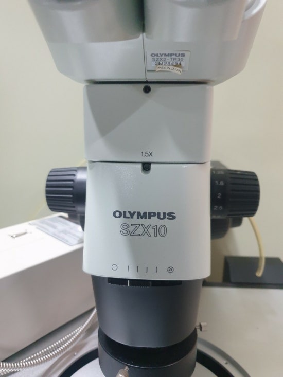 MSTECH 이미지
