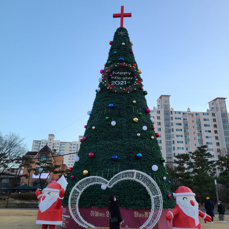 정통집 괴정롯데점 이미지