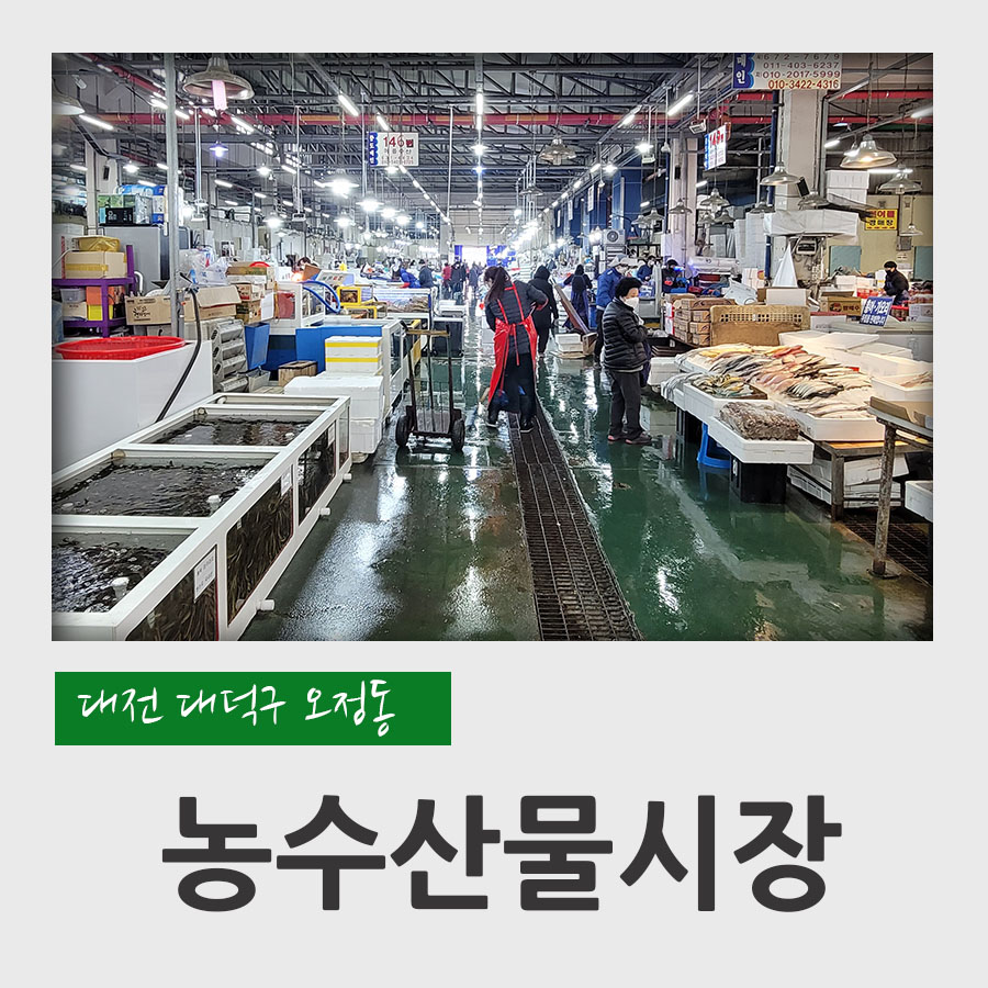 대덕건어물 이미지