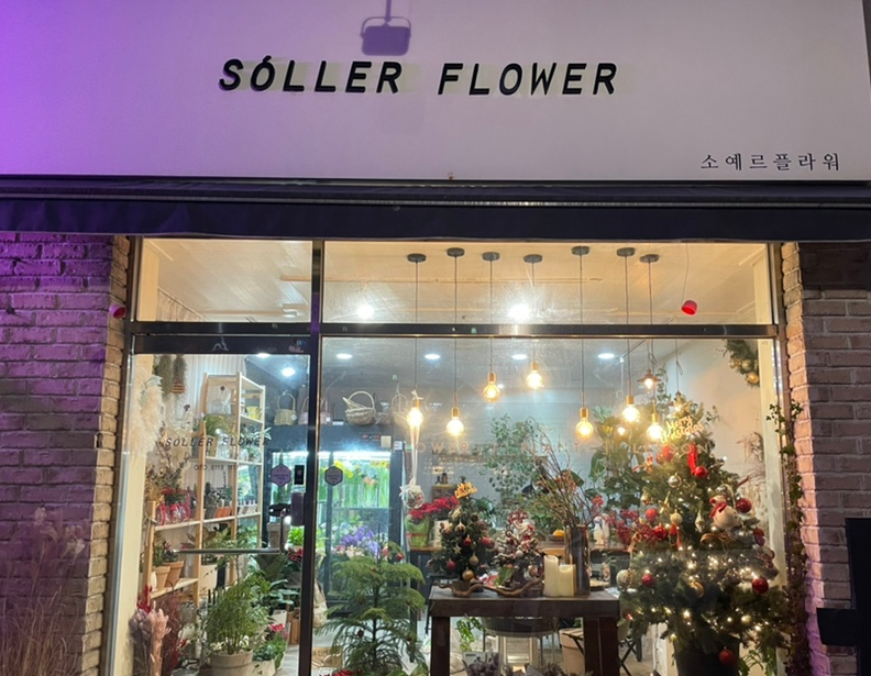 소예르플라워 이미지