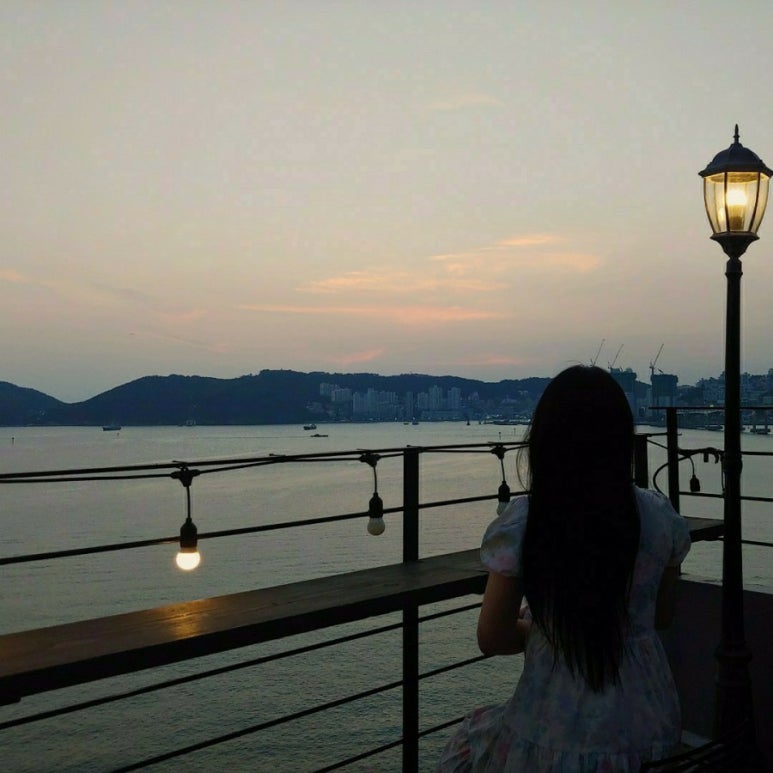 더레이지캣 이미지