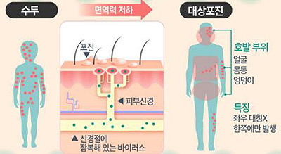 셀라띠 이미지