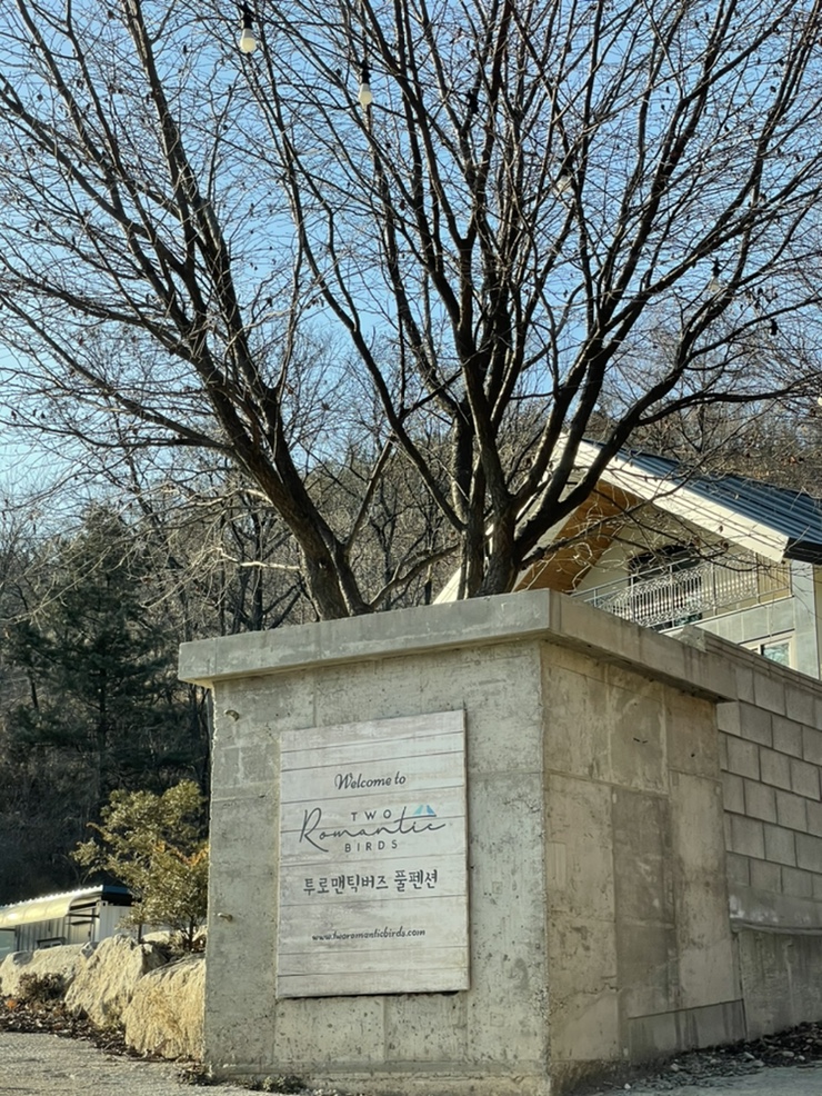 투로맨틱버즈 이미지