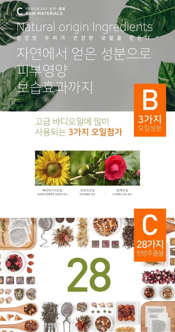 리뉴바디 이미지