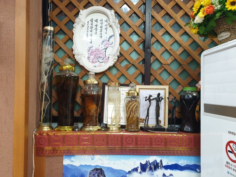 일선화 이미지