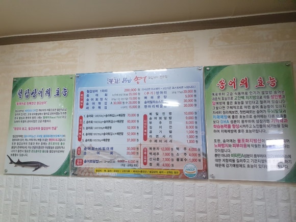 동강맑은송어 이미지
