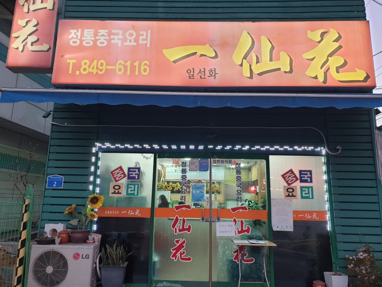 일선화 이미지