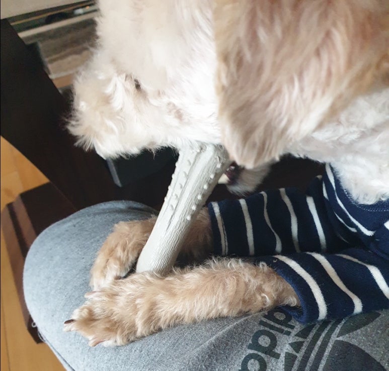 보듬샵 이미지