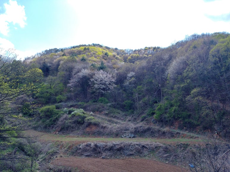 수안보농협가공공장 이미지