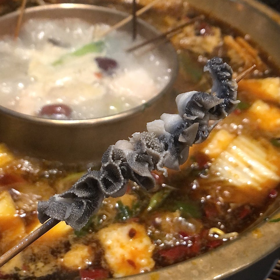 충칭마라훠궈 이미지